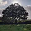 tammynutley - @tammynutley - TikTok