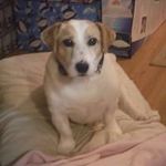 tammyutley31 - @tammyutley_31 - Instagram