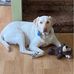 Tammy Vail - Facebook