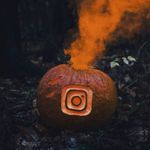 Tammy Vance - @tammyvance202 - Instagram
