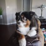 Tammy Vance - Facebook