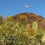 Tammy Vance - @tammyvance1962 - Instagram