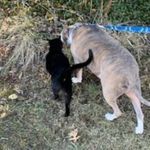 Tammy Vance - @nuggetjvance - Instagram