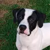 Tammy Vanmeter - @tammy.vanmeter - TikTok
