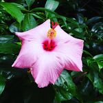 Tammy Vanwinkle - @vanwinkletammy - Instagram