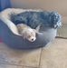 Tammy VanWinkle - Facebook