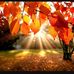 Tammy Varner - Facebook