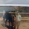 Tammy VO - @tammyvo195 - TikTok