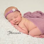 Tammy J. Vos Photography - @tammyj.vosphotography - Instagram