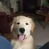 tammywagerman2 - @tammywagerman2 - TikTok
