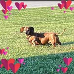 Tammy Tucker-Wagers - @tuckerwagers - Instagram