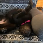 Tammy Wagers - @shebelives79 - Instagram