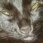 Tammy Wagoner - @t_wagoner91 - Instagram