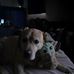 Tammy Wakefield - Facebook