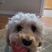 Tammy Walker - Facebook