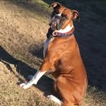 Tammy Walker - @tammy.walker0405 - Instagram