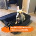 Tammi Lynn Wallen - Facebook