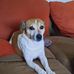 Tammy Wallis - Facebook