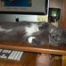 Tammy Wallis - Facebook