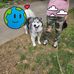 Tammy Wallman - Facebook