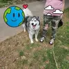 tammywallman - @tammywallman - TikTok