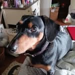 Tammy Wanamaker - @tammy.wanamaker - Instagram