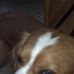 Tammy Wanamaker - Facebook