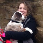Tammy Warden - @tamdogs618 - Instagram