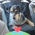 Tami Warnick - Facebook