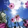 Tammy Warnick571 - @tammywarnick571 - TikTok