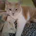 Tammy Warnick - Facebook