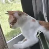 tammywarrick39 - @tammywarrick39 - TikTok