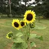Tammy Waters - @tammy.waters - TikTok