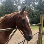 Tammy Weeks - Facebook