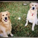 Tammy Weeks - @tammyweeks8808 - Instagram