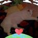 Tammy Weems - Facebook
