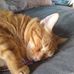 Tammy Wehner - Facebook