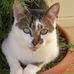 Tammy Wehner - Facebook