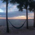 Tammy Wehunt - @bignanny.5 - Instagram