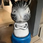Tammy Wei - @mioufish - Instagram