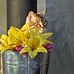 Tammy Seaman Weidner - Facebook