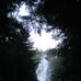 Tammy Weidner - Facebook