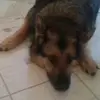Tammy Weis - @tammy.weis - TikTok