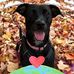 Tammy Welsh Dickie Lambert - Facebook