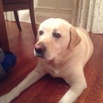 Tammy Wesley - @taweslet - Instagram