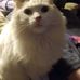 Tammy Westerman - Facebook