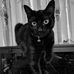 Tammy Wheat - Facebook