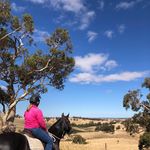 Tammy Wheaton - @tammy_wheaton - Instagram