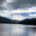 Tammy Wheaton - @tammywhe - Instagram