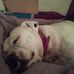 Tammy Whitener - Facebook